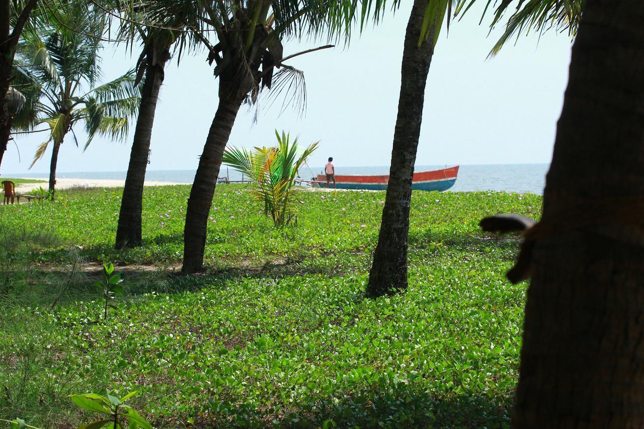 Marari Peace Homestay Mararikulam Exterior foto